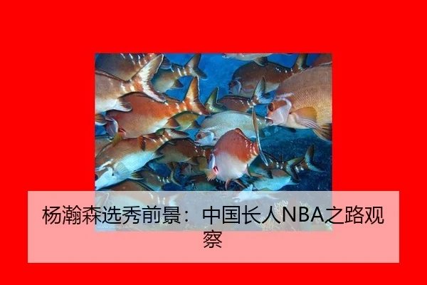 yang-han-sen-xuan-xiu-qian-jing-zhong-guo-zhang-ren-zhi-lu-guan-cha-2-515.jpg