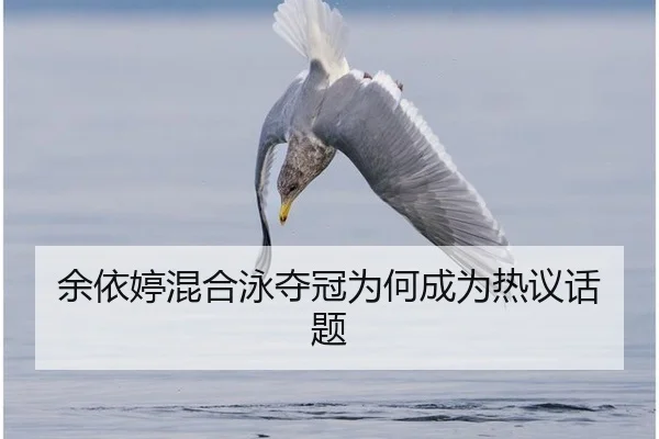 余依婷混合泳夺冠为何成为热议话题